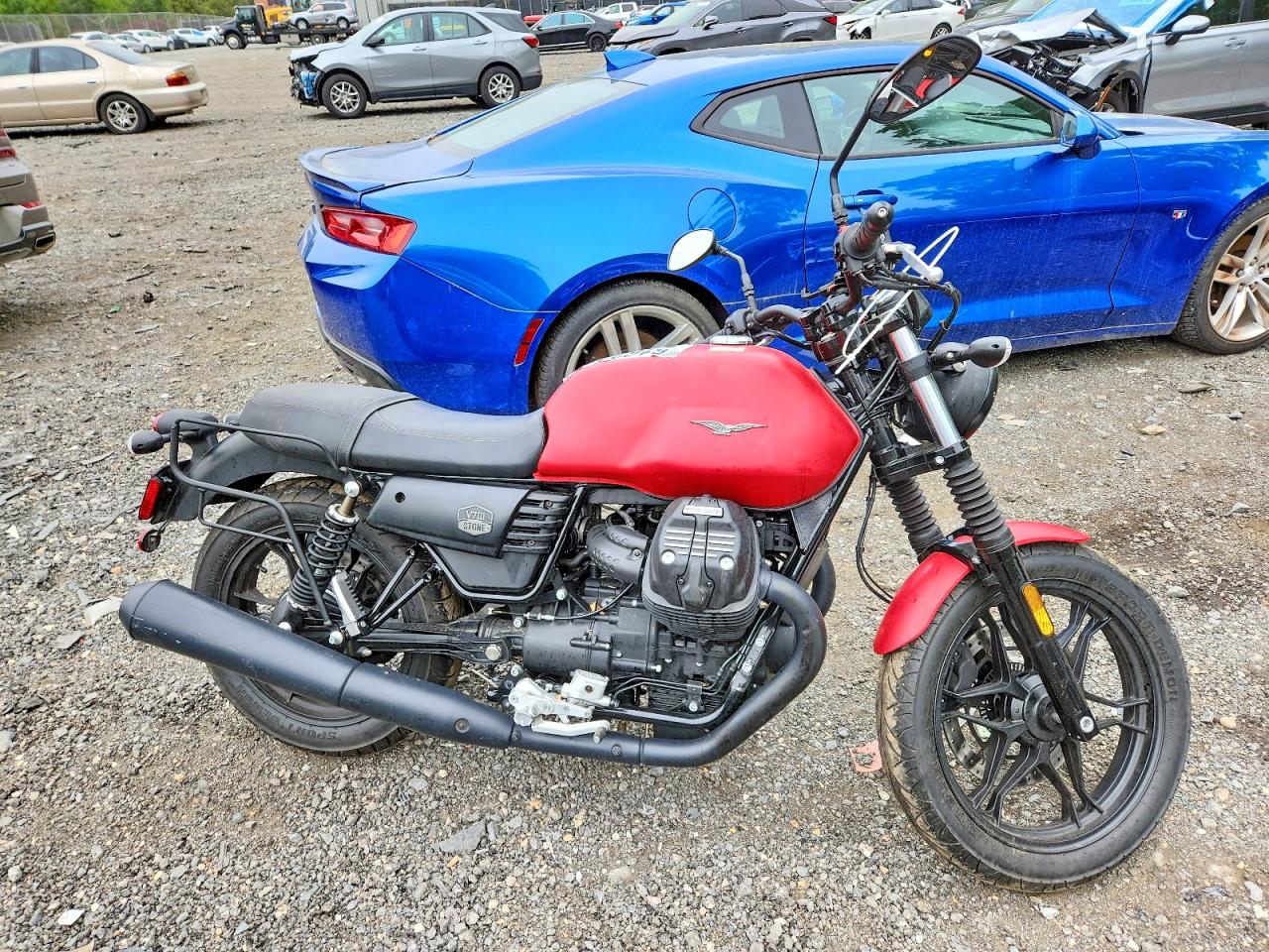 Salvage Moto Guzzi V7 Iii Stn Image