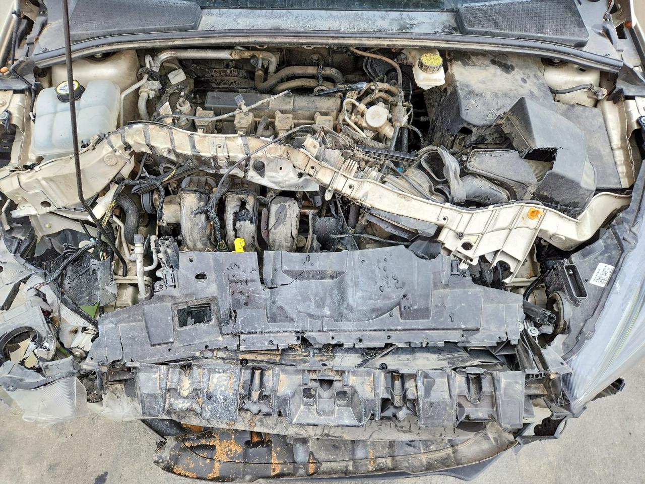Ford Focus Sel