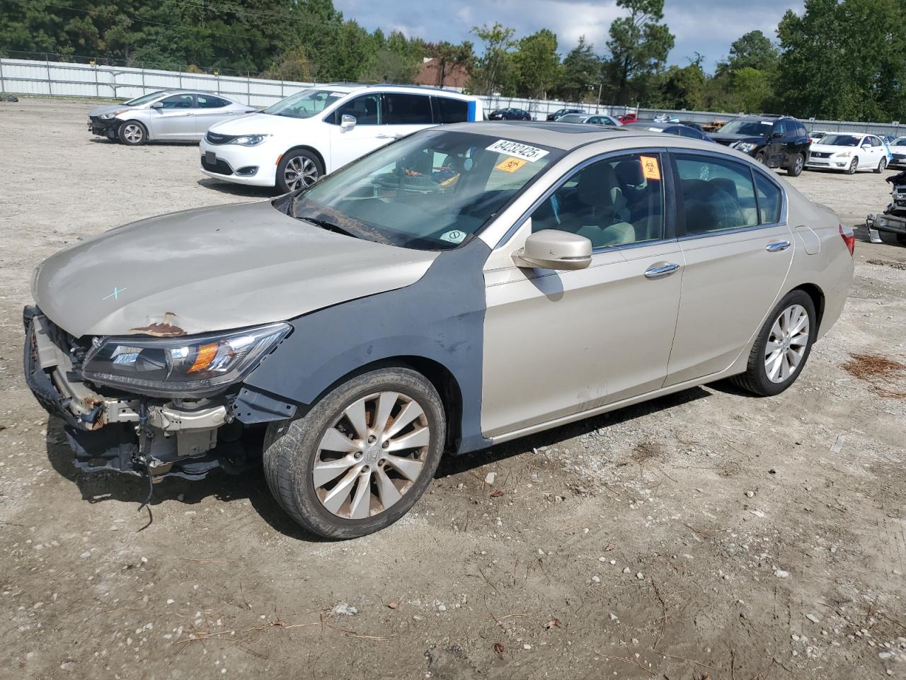 Salvage Honda Accord Image