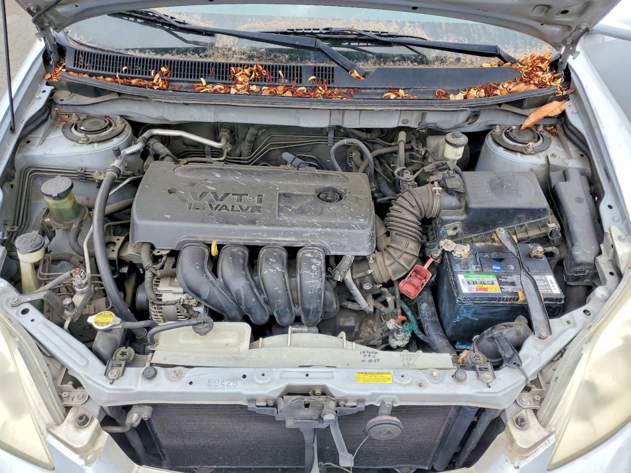 Toyota Corolla Xr