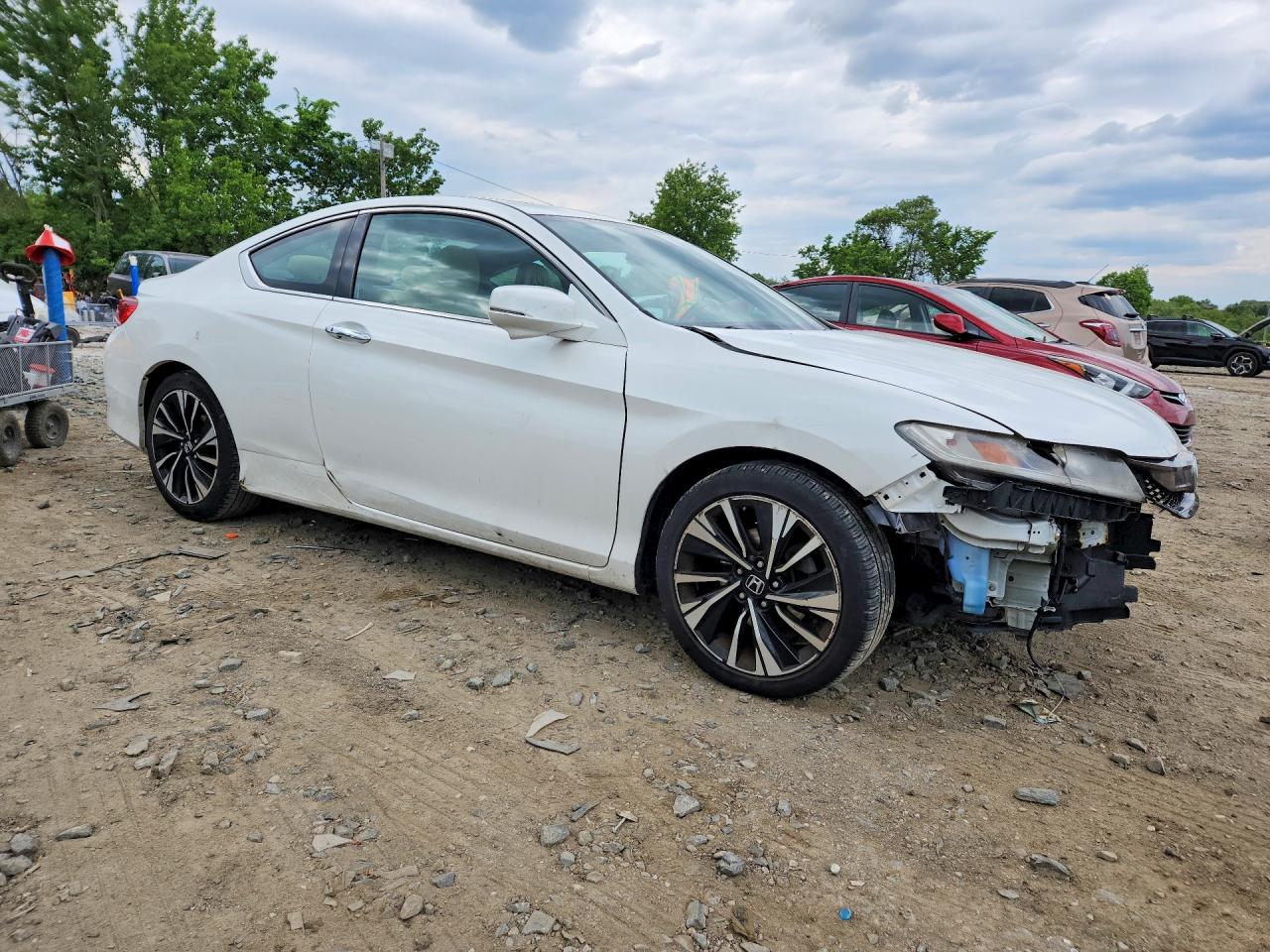 Honda Accord Exl