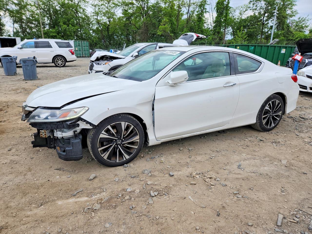 Salvage Honda Accord Image