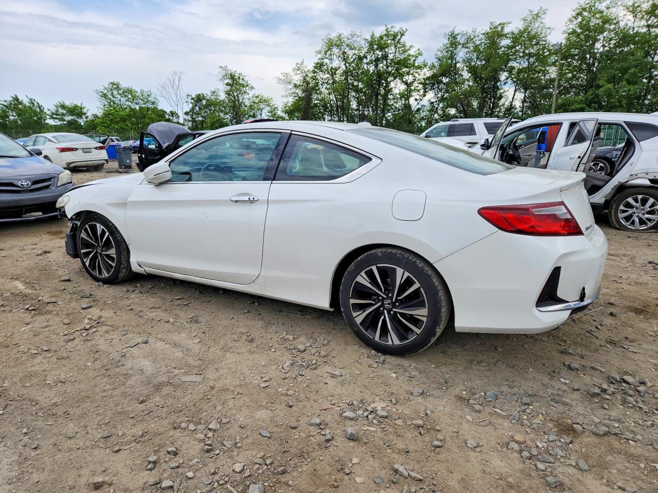 Honda Accord Exl