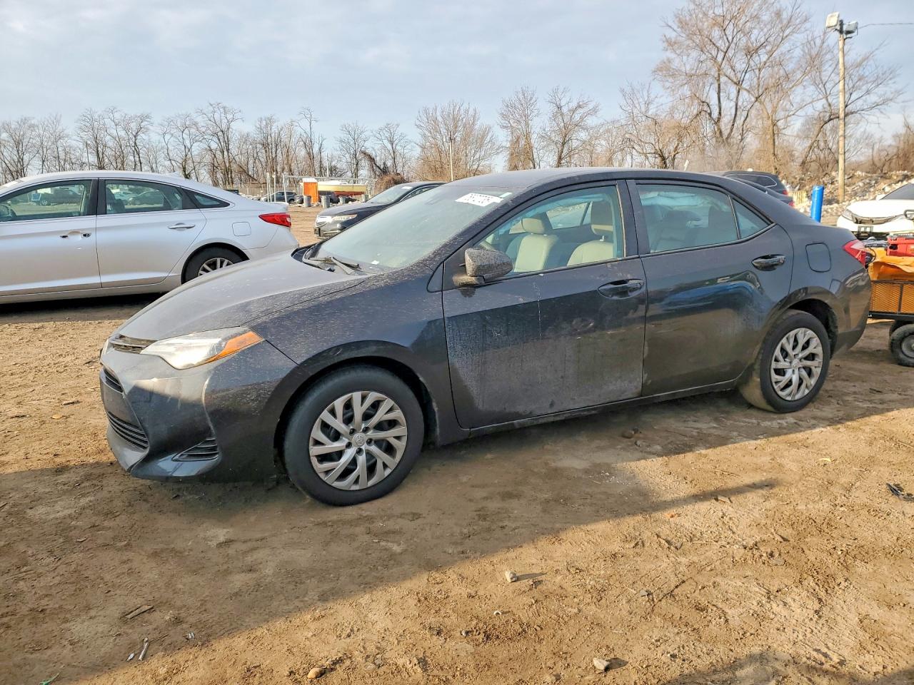 Salvage Toyota Corolla Image