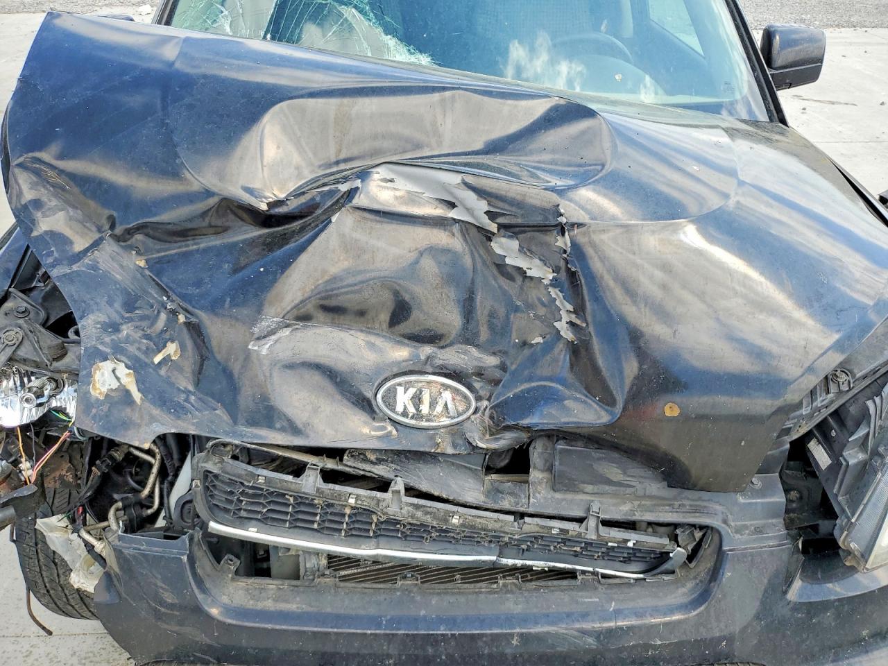 Kia Soul +