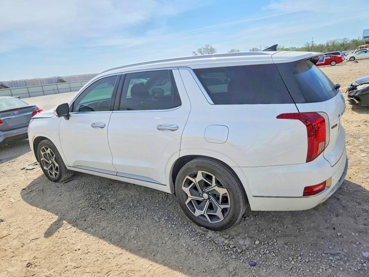 Hyundai PALISADE Calligraphy