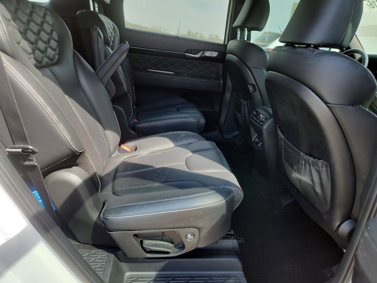 Hyundai PALISADE Calligraphy