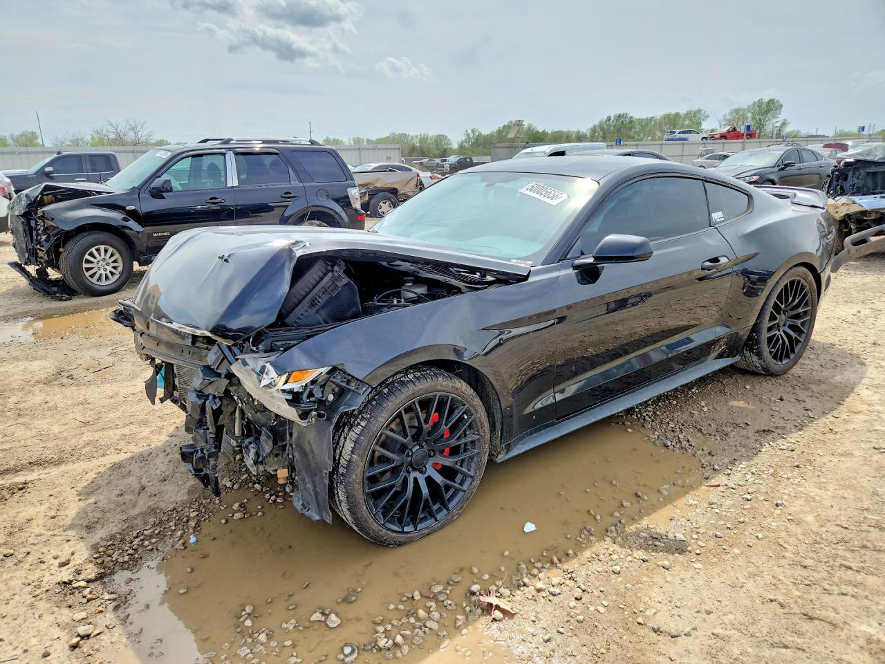 Salvage Ford Mustang Image