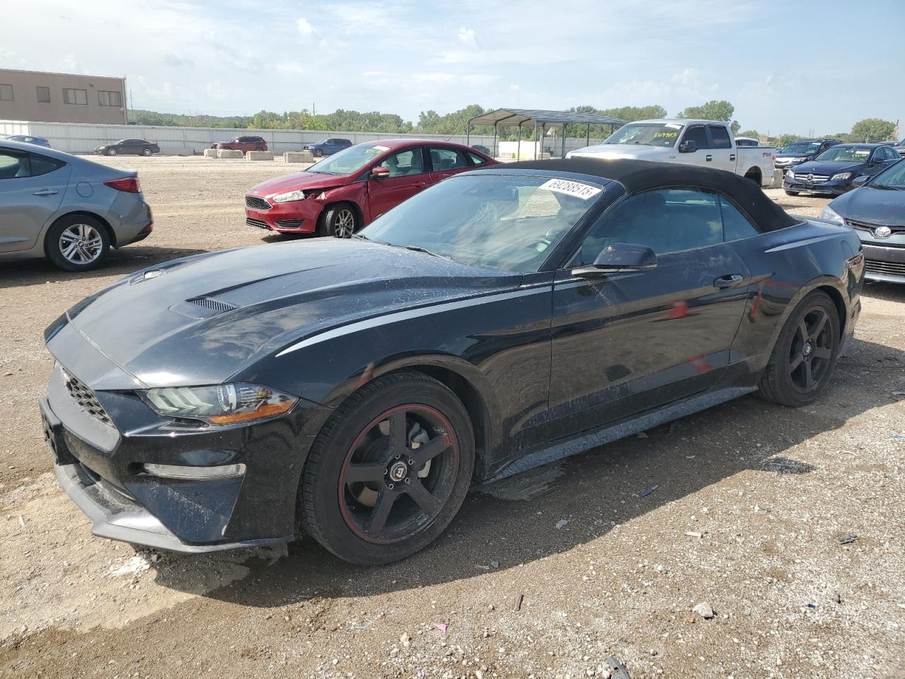 Salvage Ford Mustang Image
