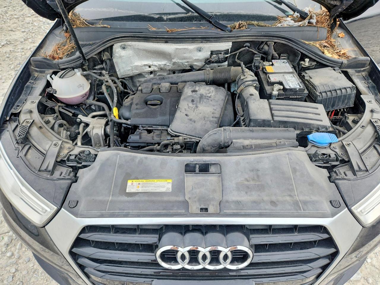 Audi Q3 Premium