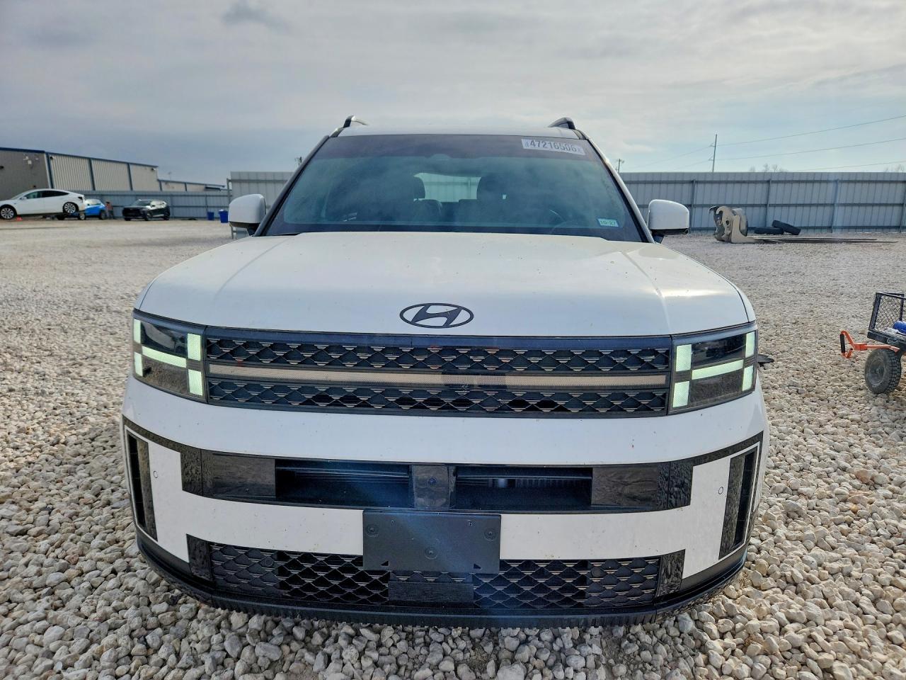 Hyundai SANTA FE Calligraphy