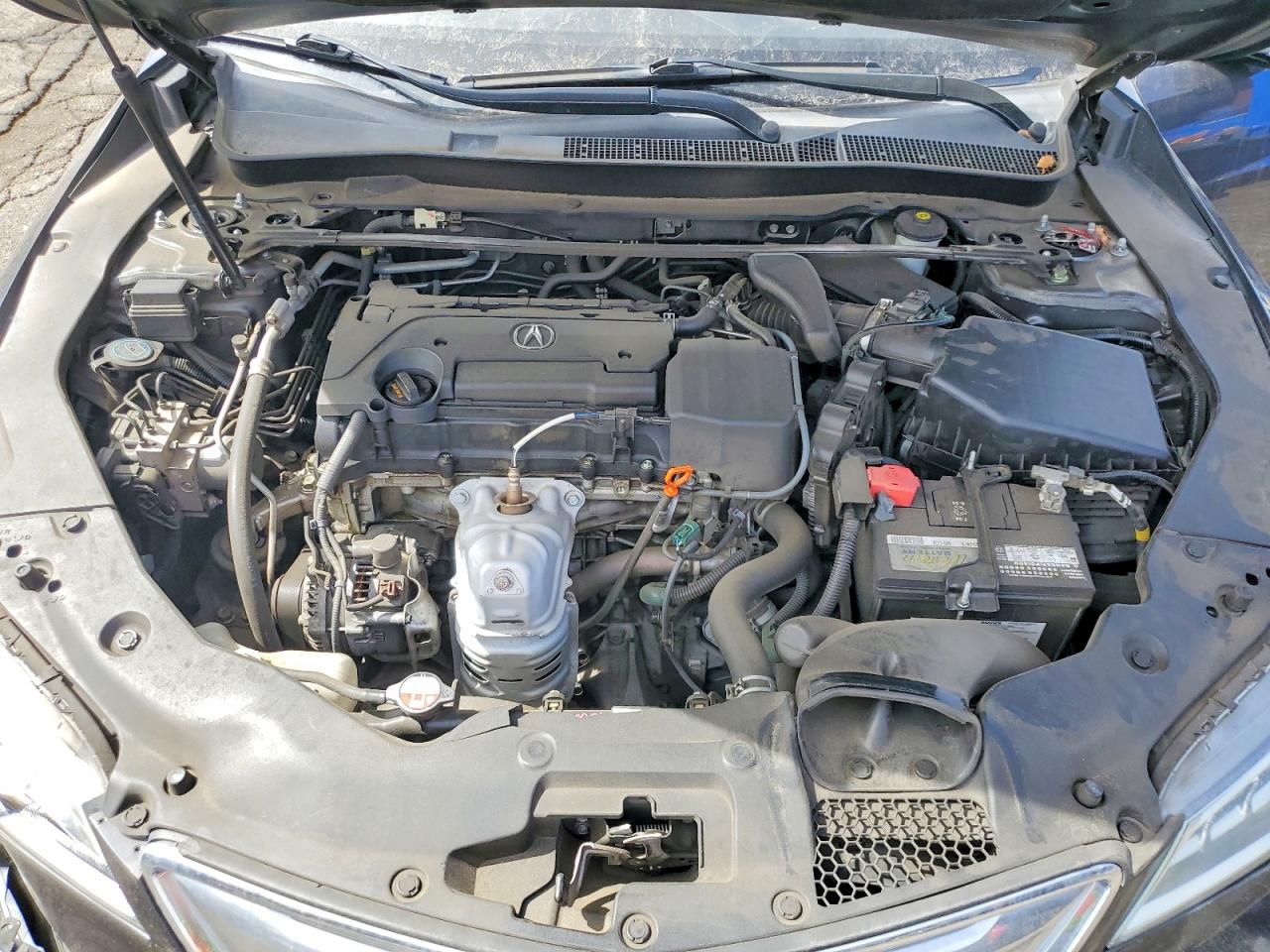 Acura TLX