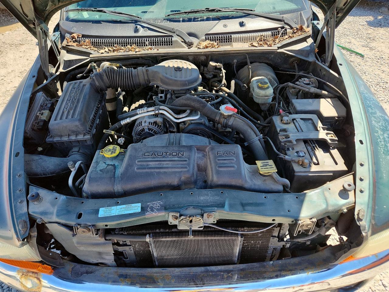 Dodge Dakota