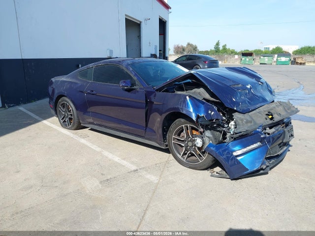 Salvage Ford Mustang Image