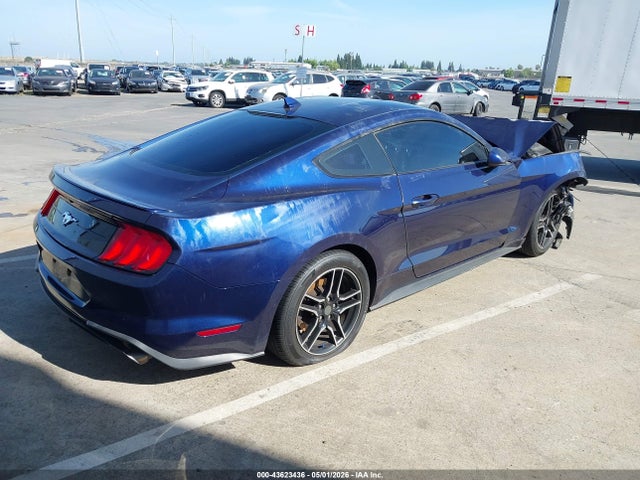 Ford Mustang Ecoboost Fastback