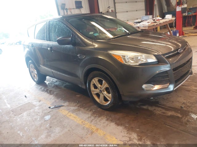 Salvage Ford Escape Image
