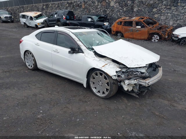 Salvage Acura TLX Image