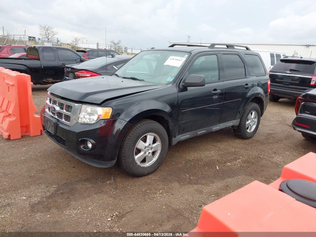 Ford Escape Xlt