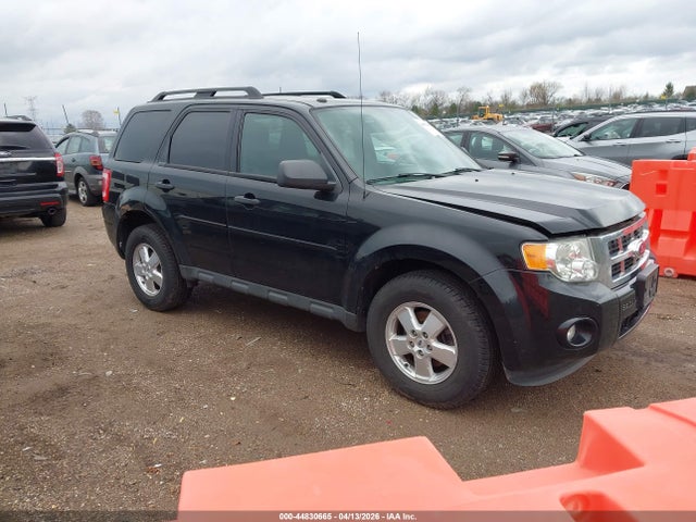 Salvage Ford Escape Image