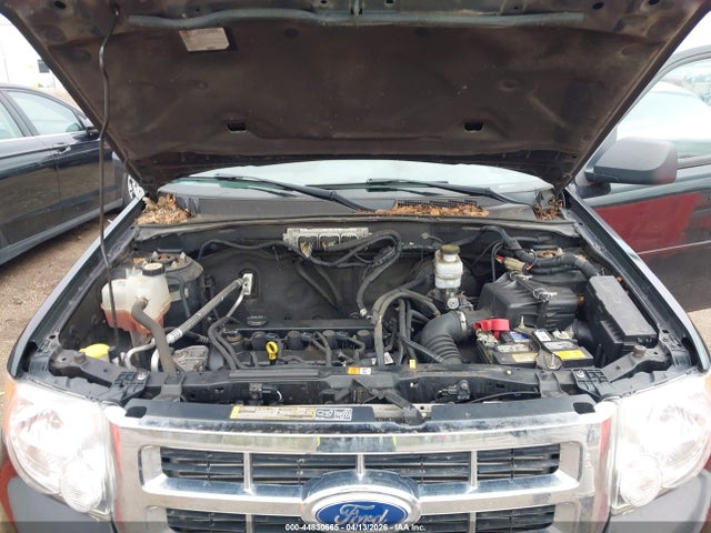 Ford Escape Xlt