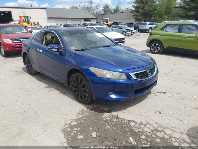 Salvage Honda Accord Image