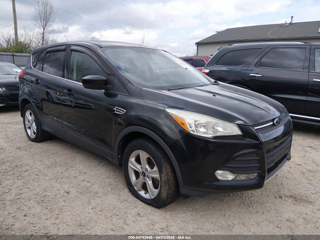 Salvage Ford Escape Image