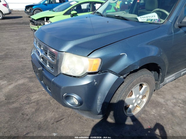 Ford Escape Xlt