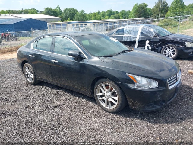 Salvage Nissan Maxima Image