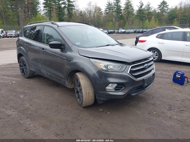 Salvage Ford Escape Image