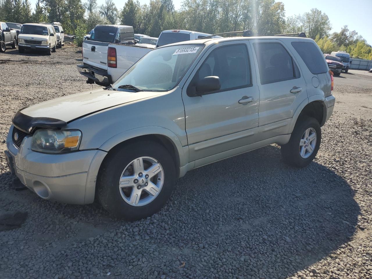 Salvage Ford Escape Image