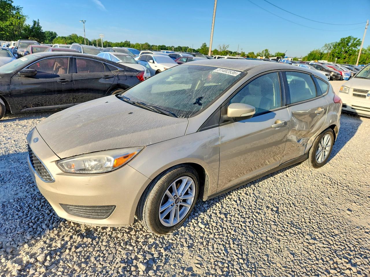 Salvage Ford Focus Image