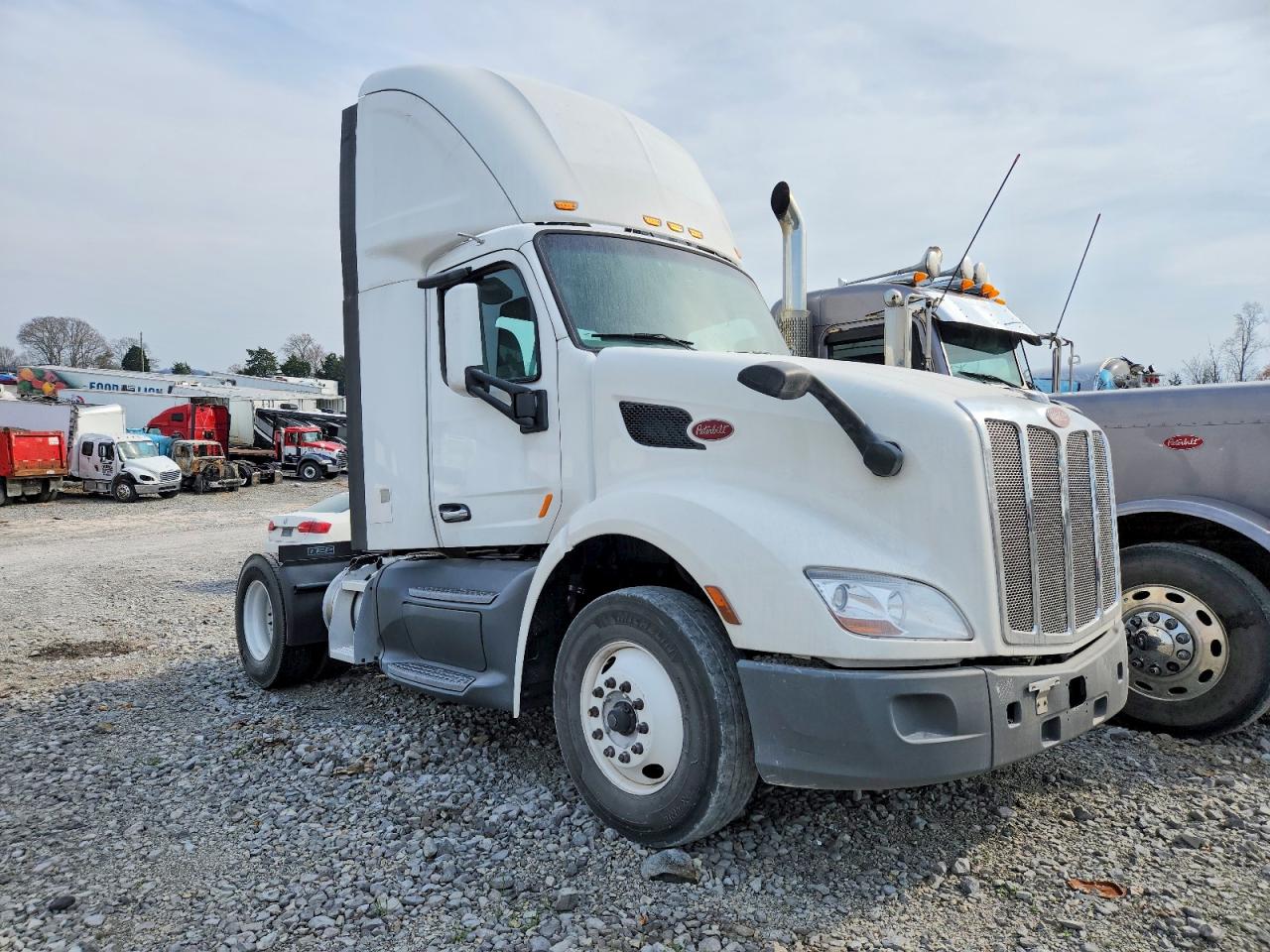 Salvage Peterbilt 579 Image