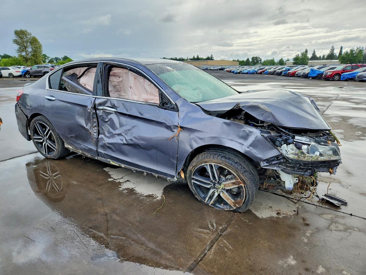 Honda Accord Sport Special Edition