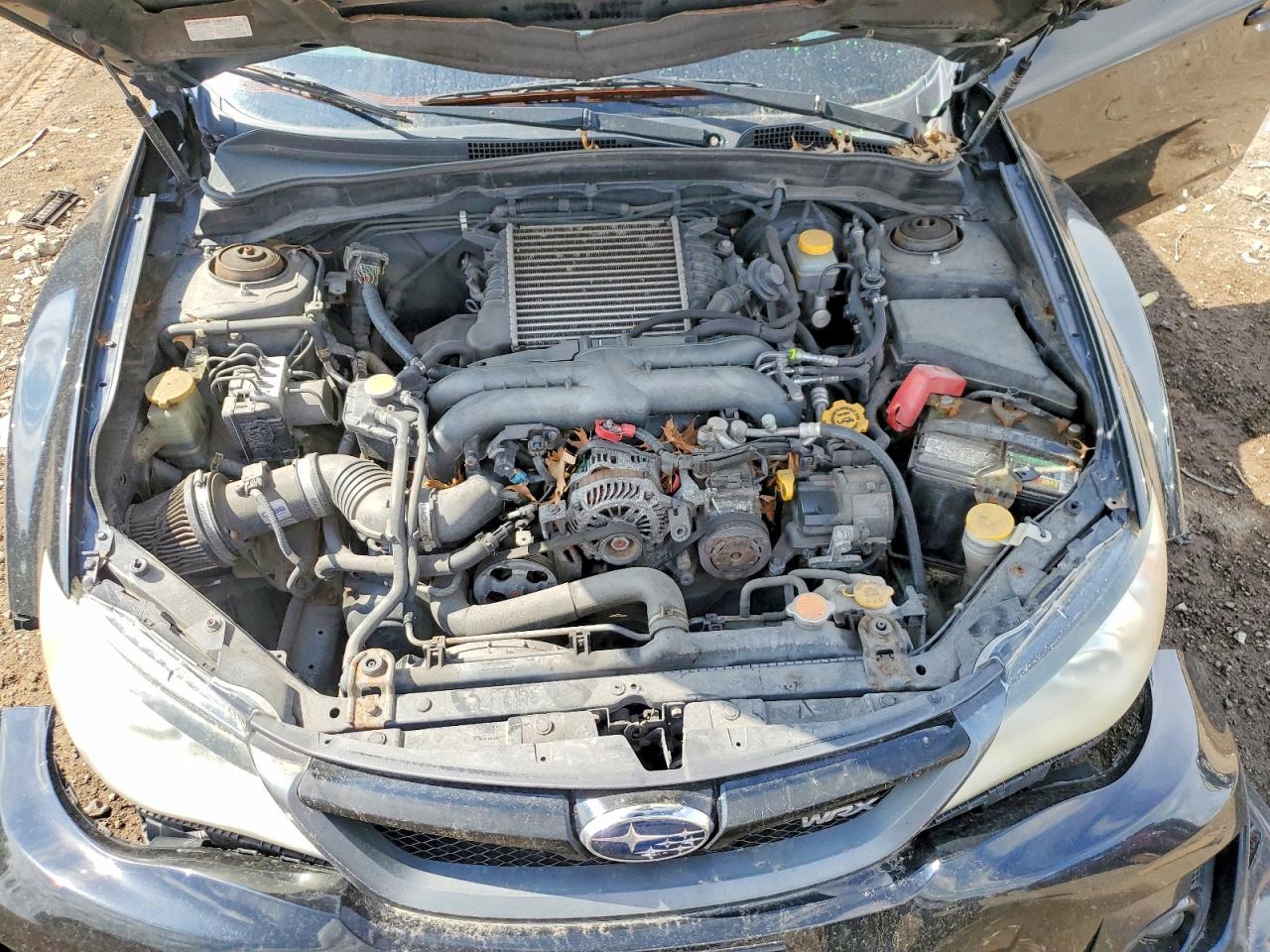 Subaru WRX Wrx