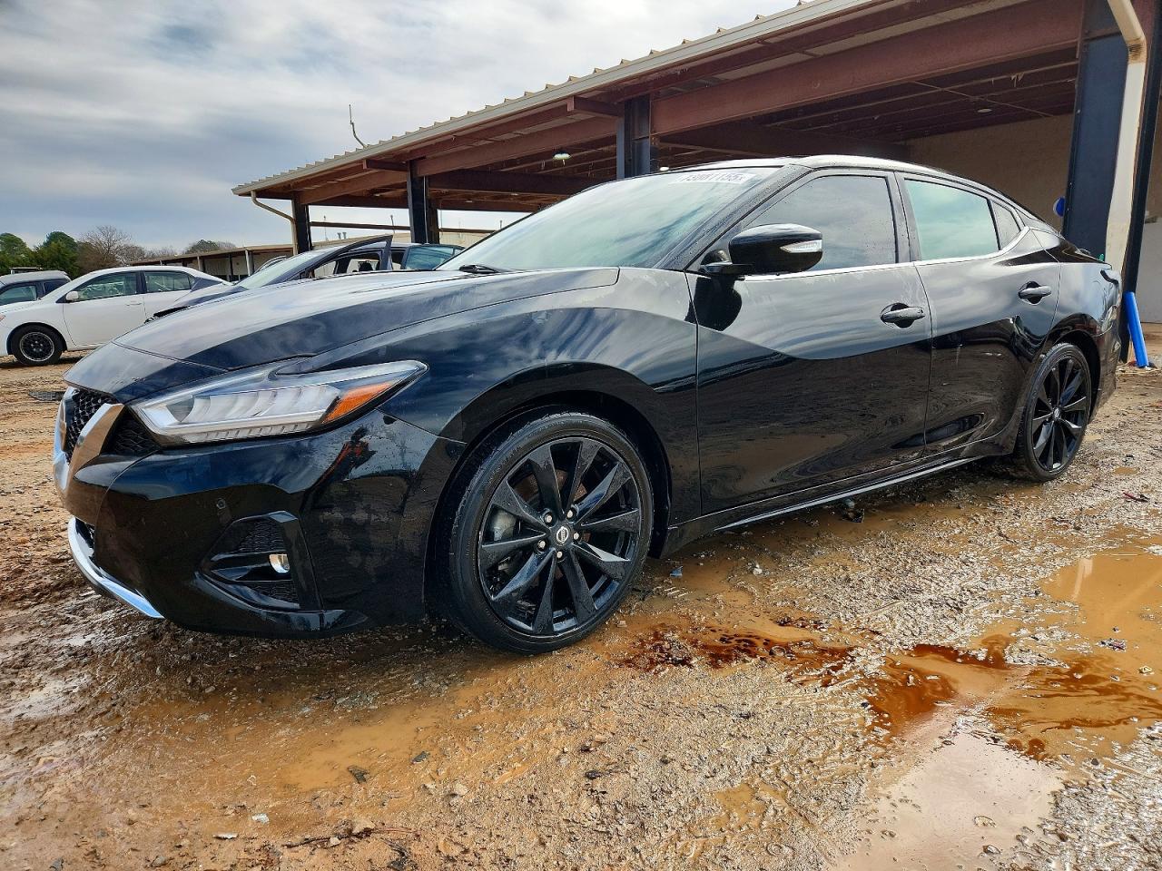 Salvage Nissan Maxima Image