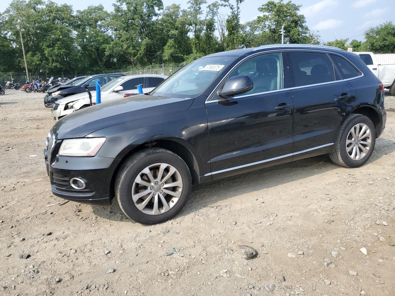 Salvage Audi Q5 Image