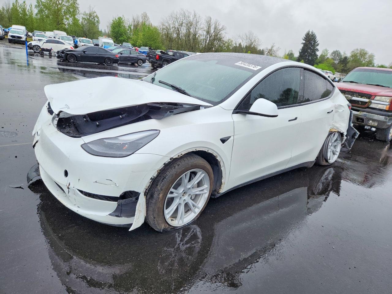 Salvage Tesla Model Y Image