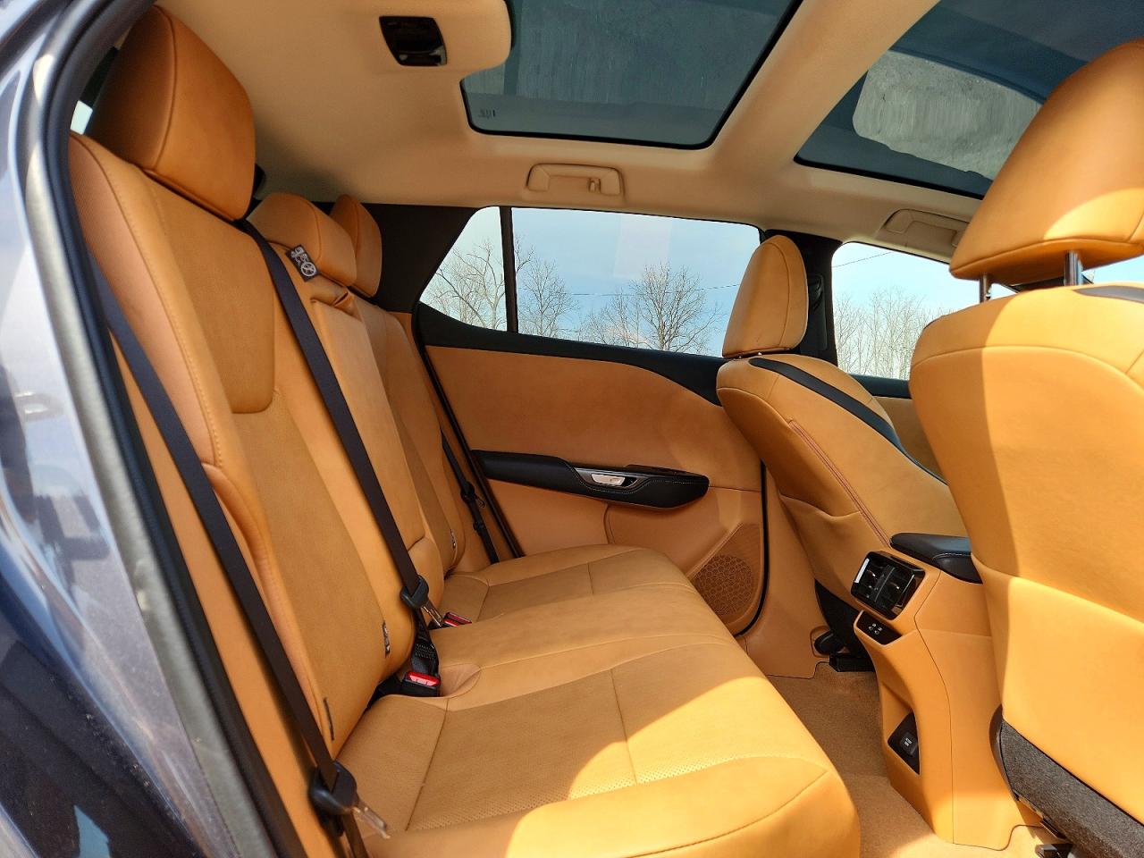 Lexus Rz Premium