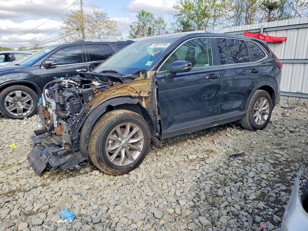 Salvage Honda Crv Image