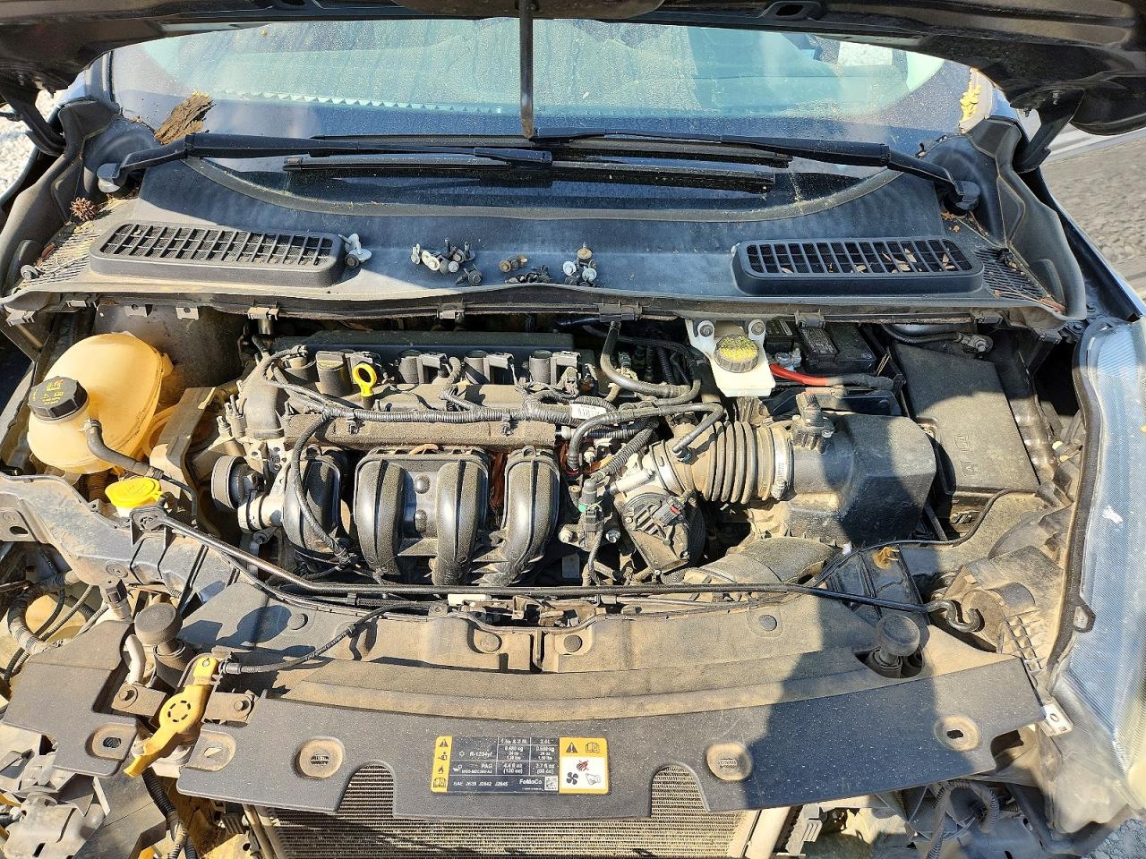 Ford Escape S