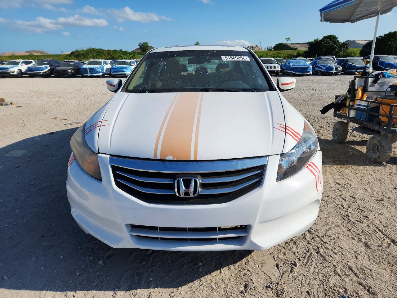 Honda Accord Exl