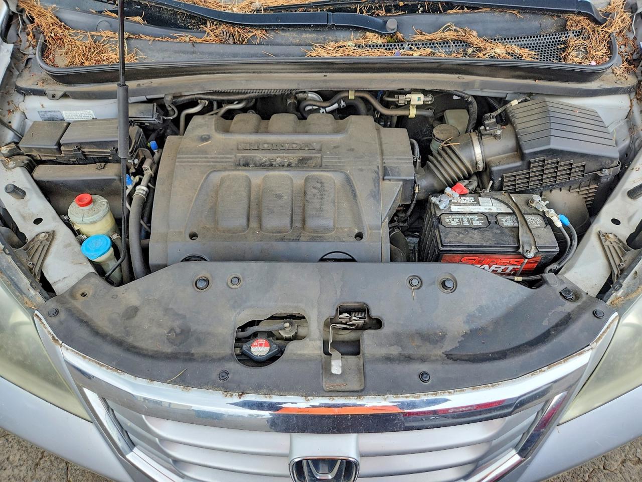 Honda Odyssey Exl