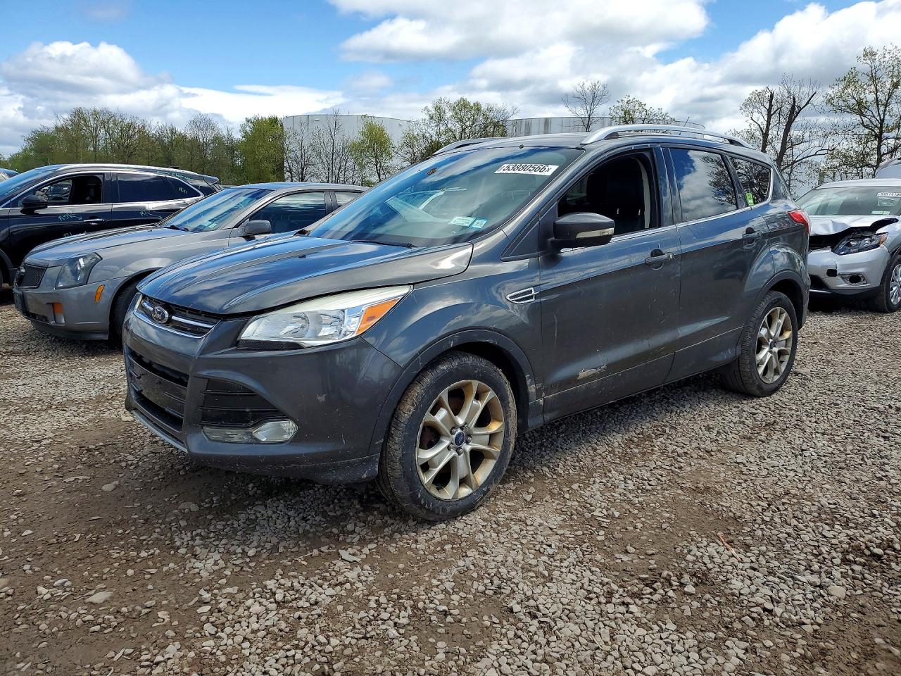 Salvage Ford Escape Image