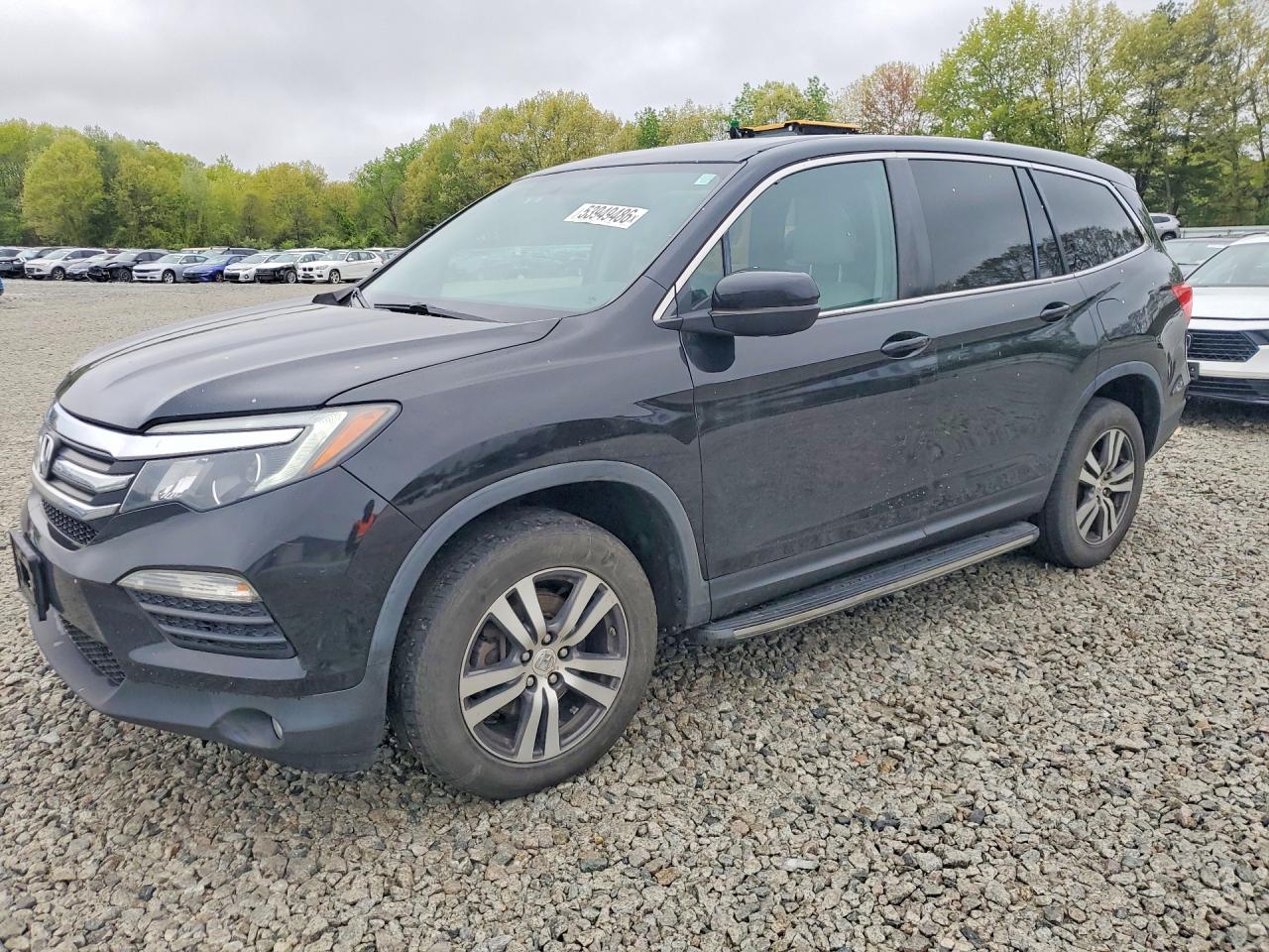 Salvage Honda Pilot Image