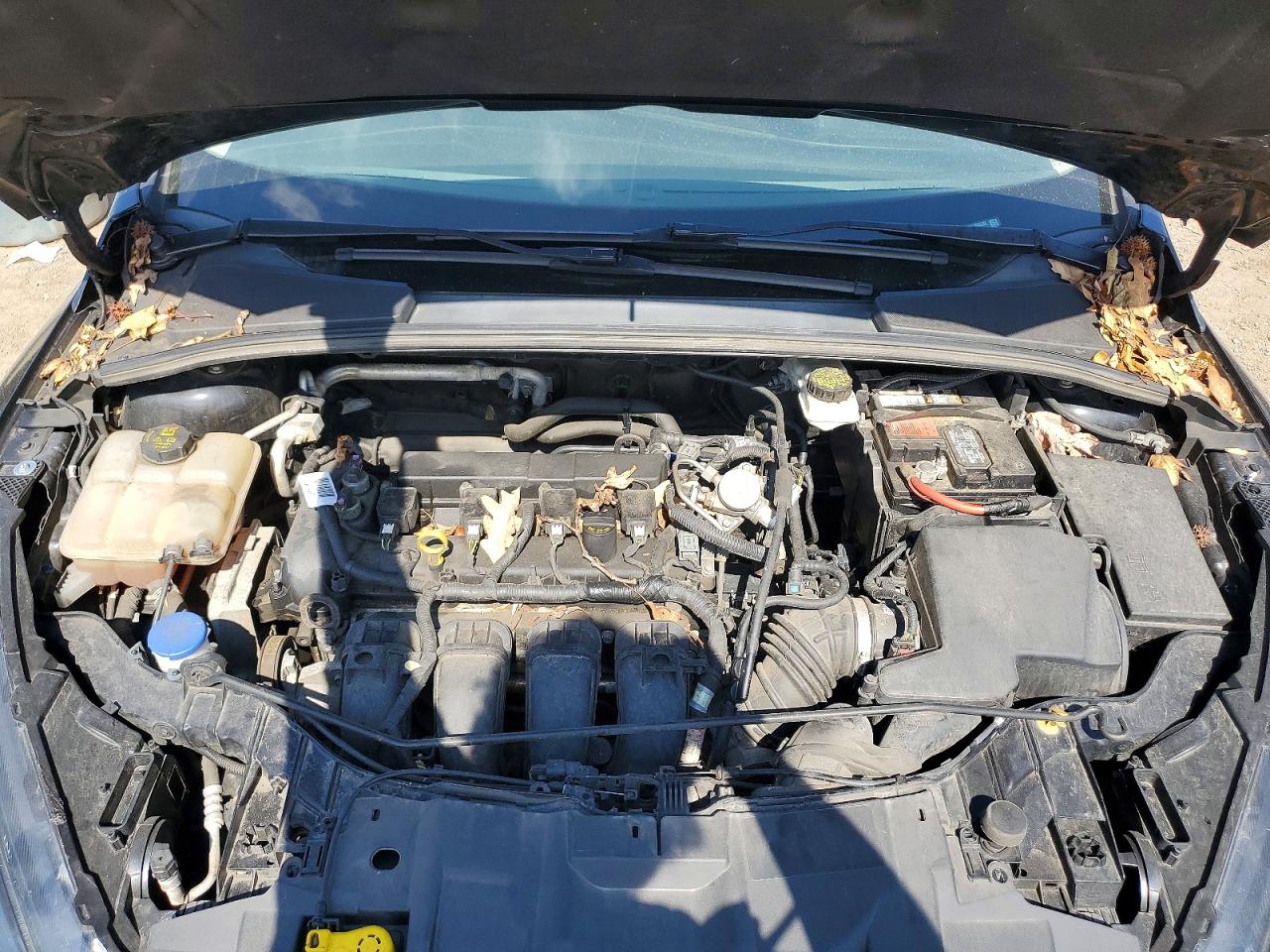 Ford Focus Sel