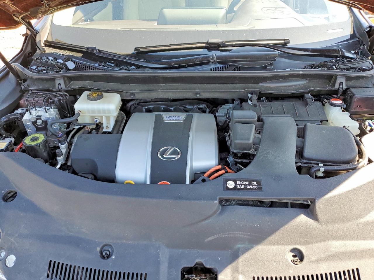 Lexus RX Base