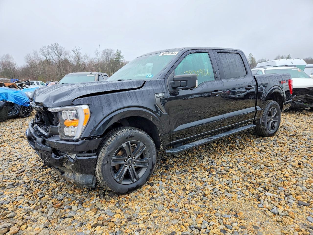 Salvage Ford F-150 Image