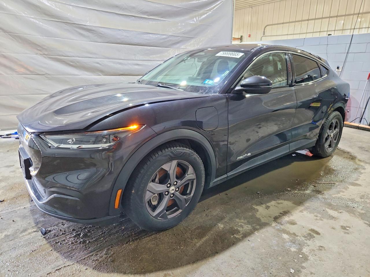 Salvage Ford Mustang Image
