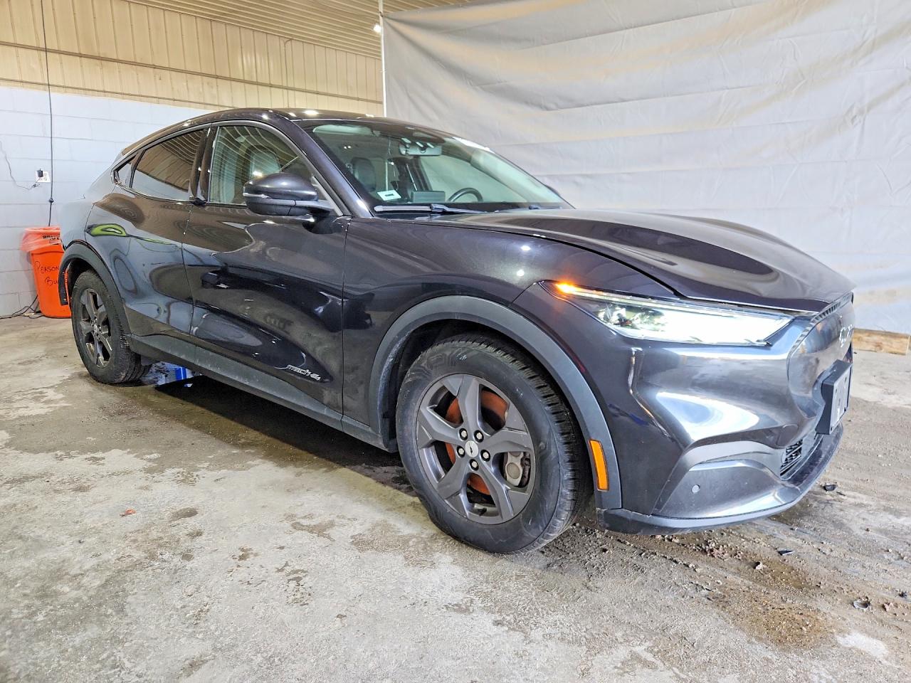 Ford Mustang Select