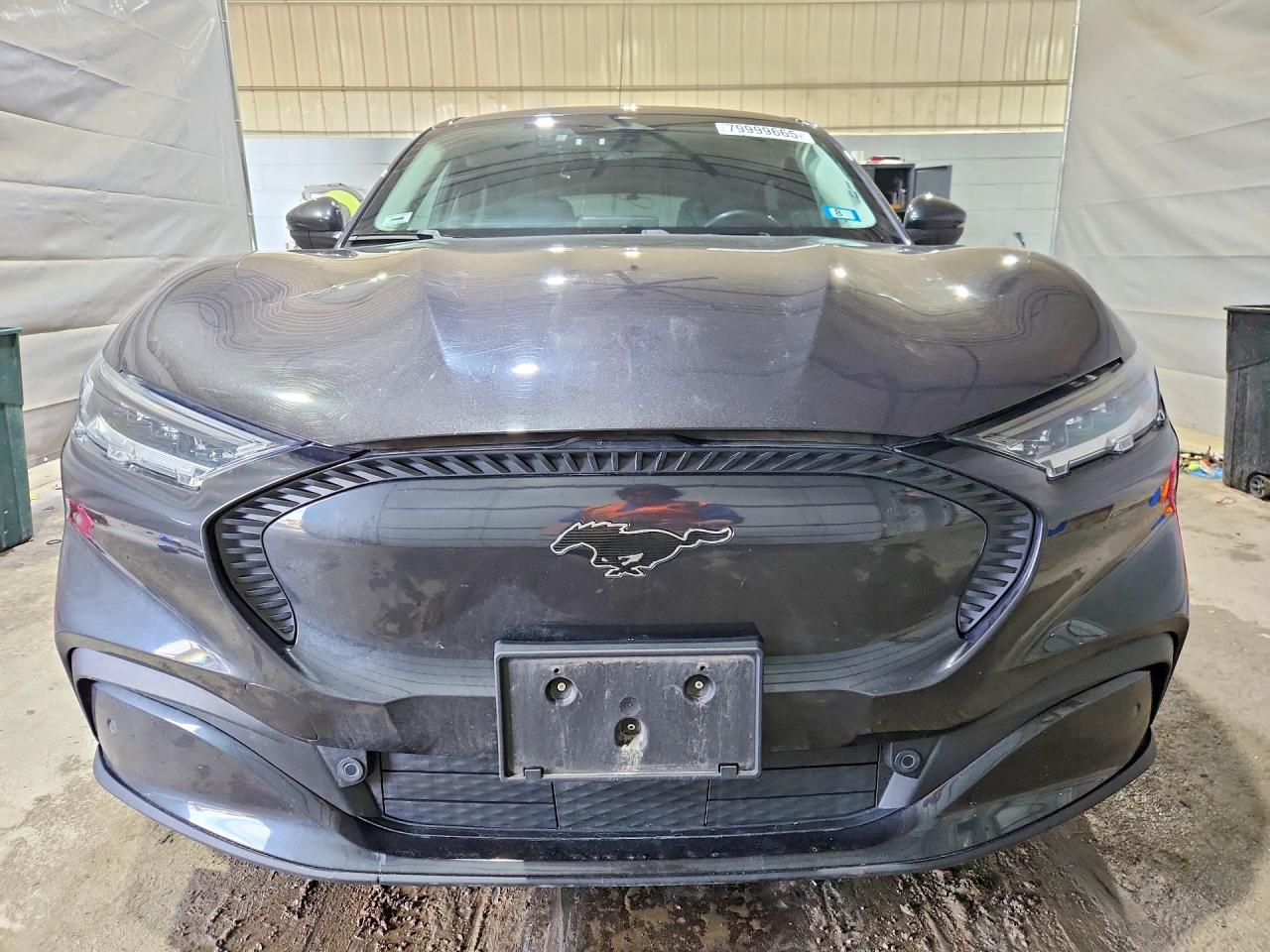 Ford Mustang Select
